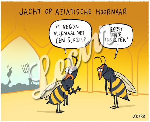 ST_aziatische_hoornaar.jpg