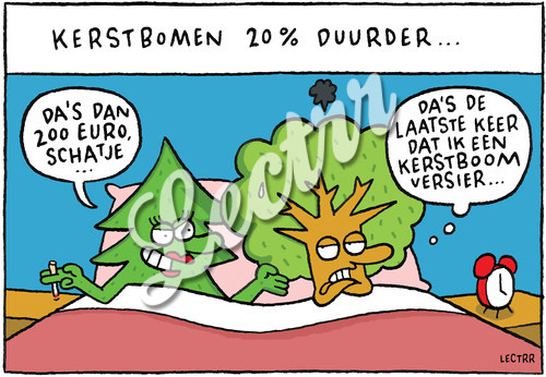 kerstboomAF.jpg