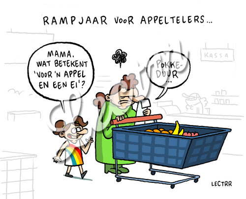 ST_rampjaar_appeltelers.jpg