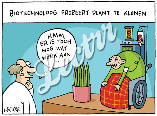 plantenklonenAF.jpg