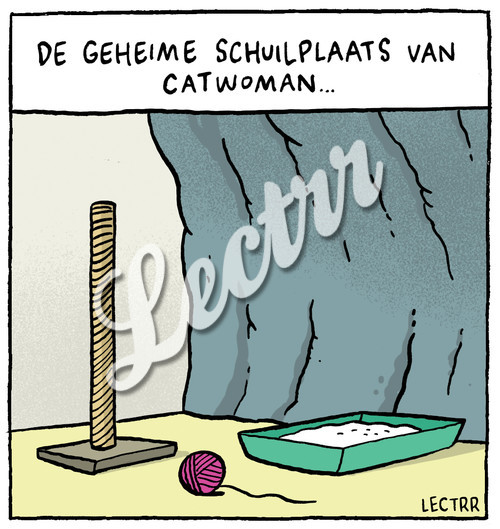 A_catwoman_schuilplaats.jpg