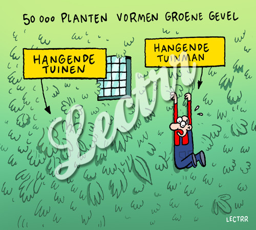 OM_groene_gevel_tuinman.jpg