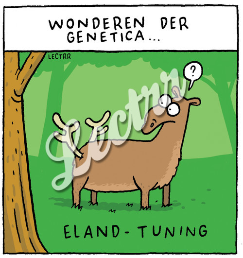 A_elandtuning.jpg