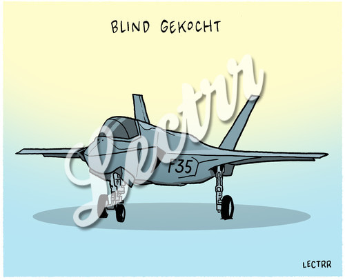 ST_blind_gekocht_F35.jpg