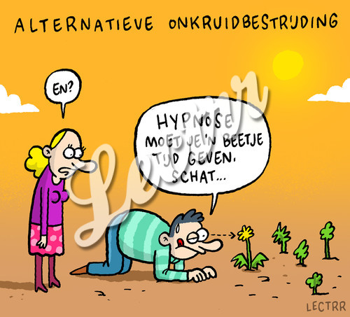 OM_alternatieve_onkruidbestrijding_NL.jpg