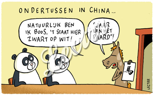 ST_jaar_paard_panda.jpg