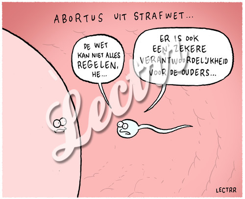 ST_abortus_strafwet.jpg