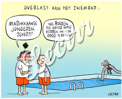 ST_overlast_zwembad_sam_van_rooy.jpg