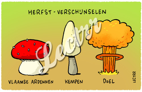 ST_herfst_verschijnselen_doel.jpg