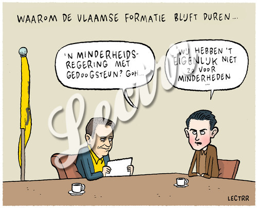 ST_vlaamse_formatie_minderheden.jpg