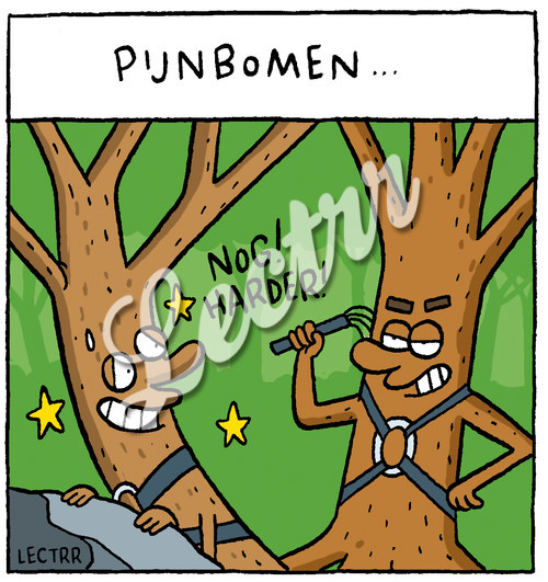 A_pijnbomenAF.jpg