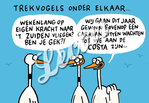 KCK_trekvogelsonderelkaar.jpg