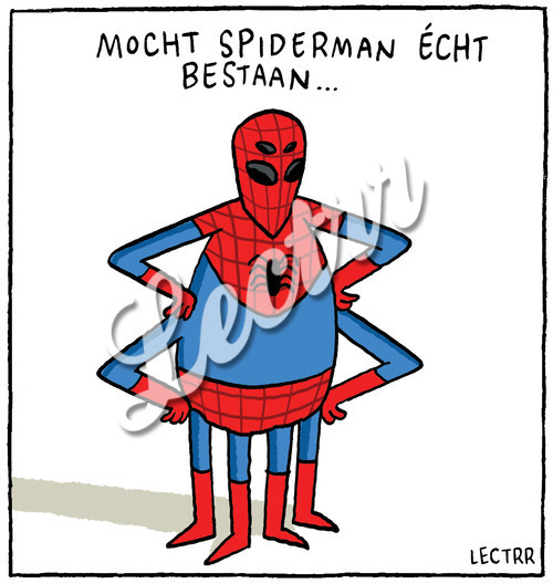 A_HK10_spiderman_echt_copy.jpg