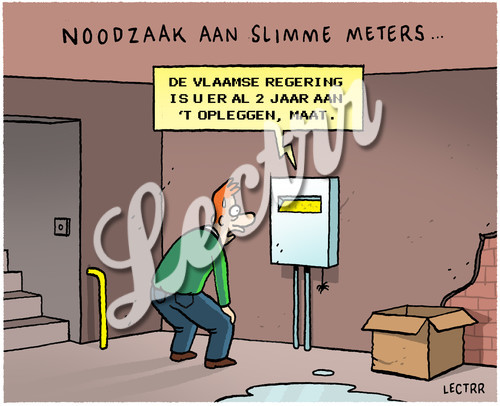 ST_turteltaks_ongrondwettelijk_slimme_meter.jpg