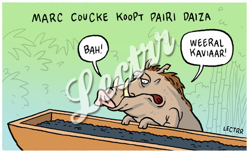 ST_pairi_daiza_coucke.jpg