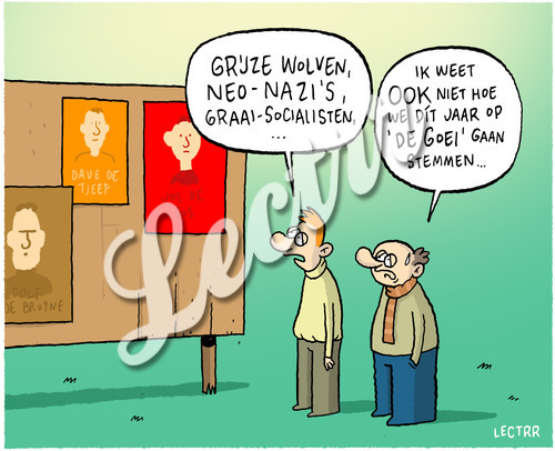 ST_de_goei_grijze_wolven_neonazi.jpg