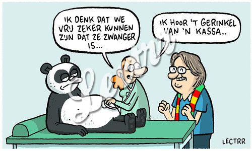 ST_panda_hao_hao_zwanger_coucke.jpg