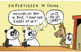 ST_jaar_paard_panda.jpg