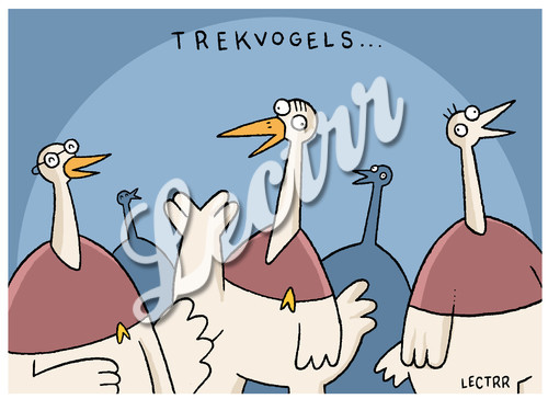 TEMP_trekvogelsAF.jpg