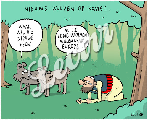 ST_wolven_op_weg_naar_belgie.jpg