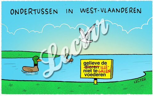 ST_illegalen_westvlaanderen_decaluwe.jpg